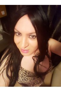Donna Trans